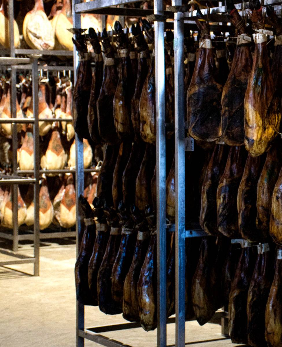Jamones ibéricos en proceso de curación y maduración en secaderos especializados.
